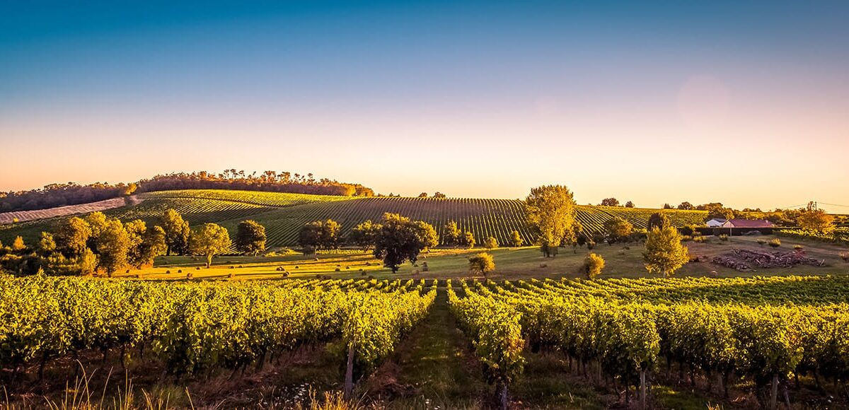 History Behind the Bordeaux Wines of France