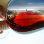 An Abridged History of Burgundy