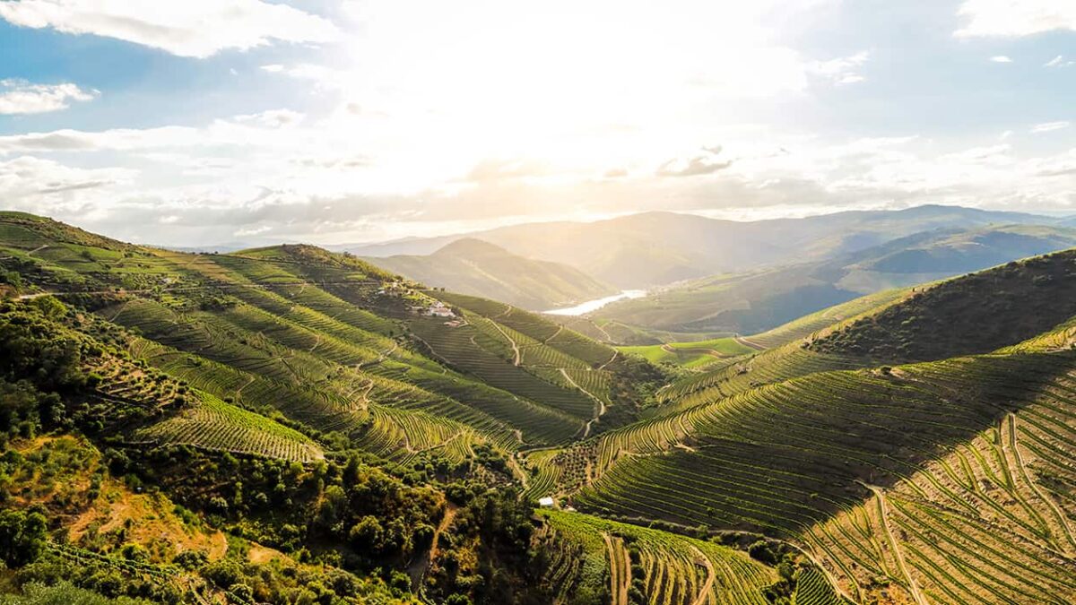 The Beauty of the Douro Valley