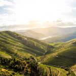 The Beauty of the Douro Valley