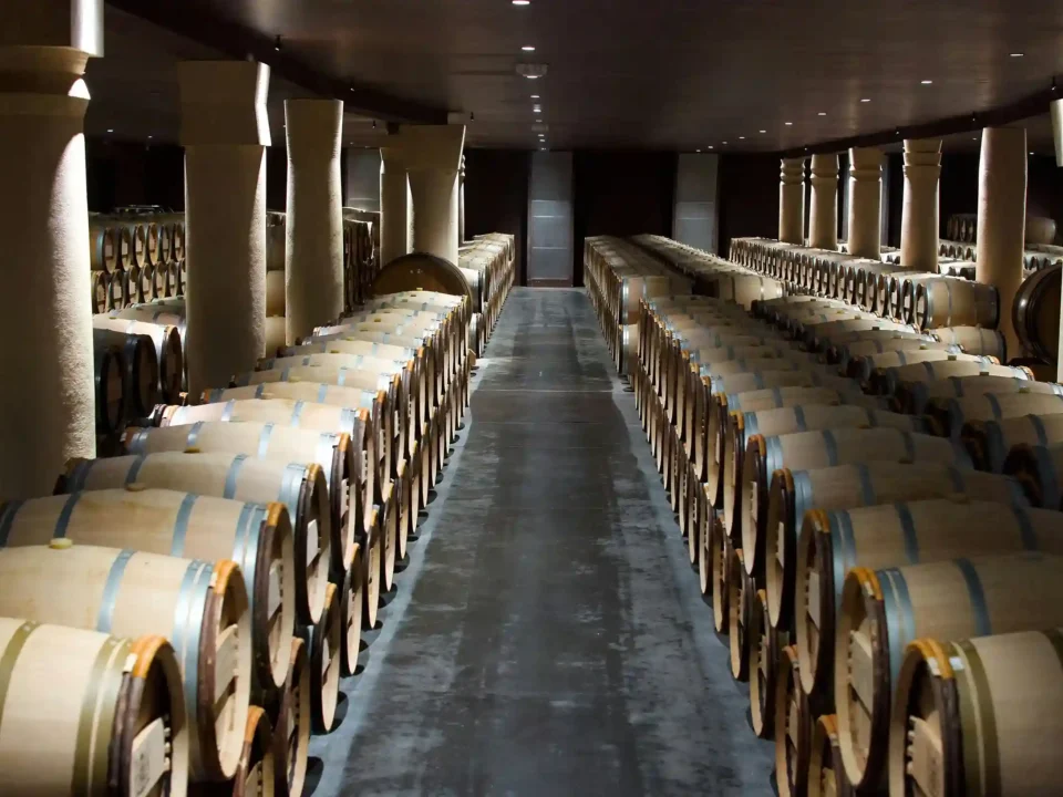 Whiskey Barrels Transform